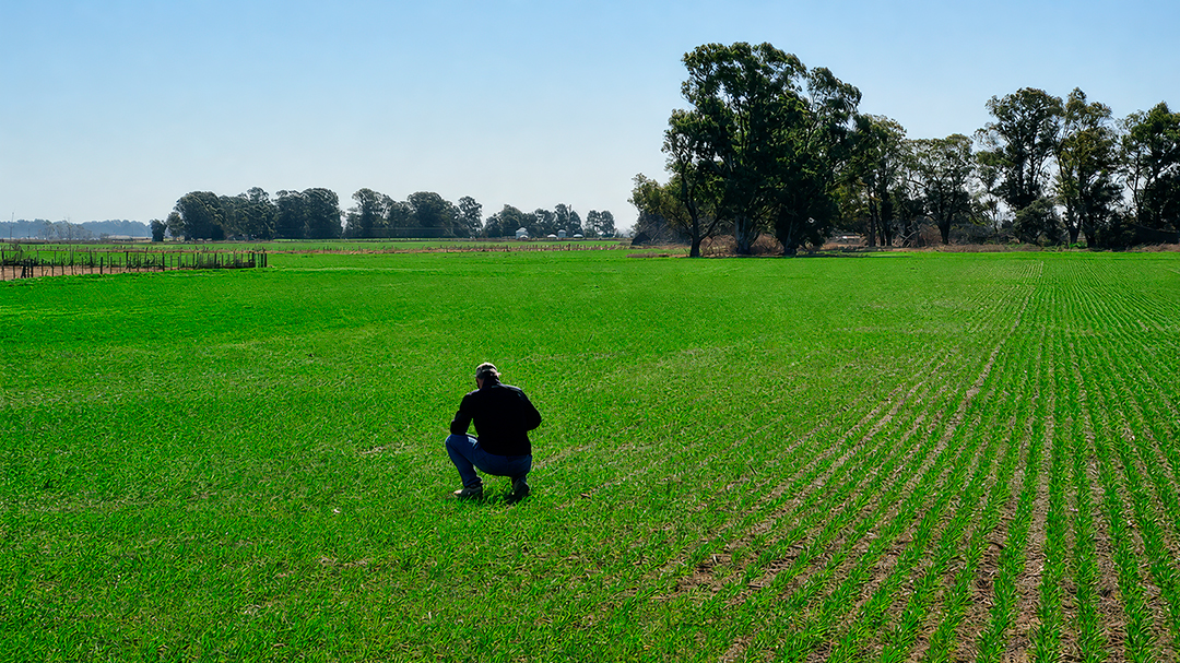Tecnolog&iacute;a, conocimiento y eficiencia nutricional: Agritec Global impulsa una nueva generaci&oacute;n de soluciones