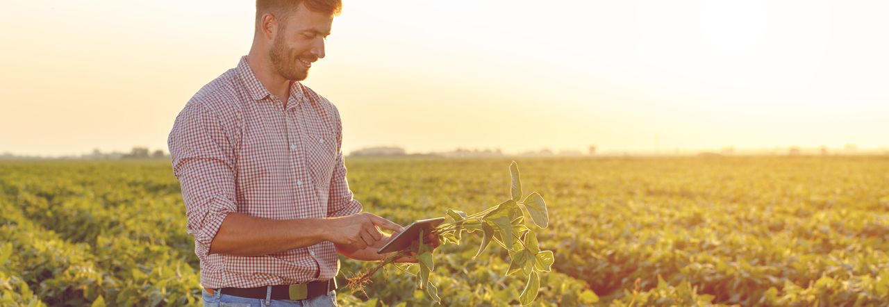 Soluciones financieras y digitales para toda la cadena de valor del agro