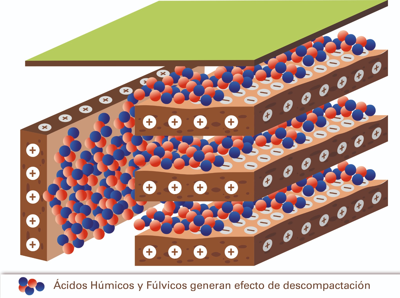 Una nueva tecnología para el mejoramiento de los suelos, optimizando agua y nutrientes