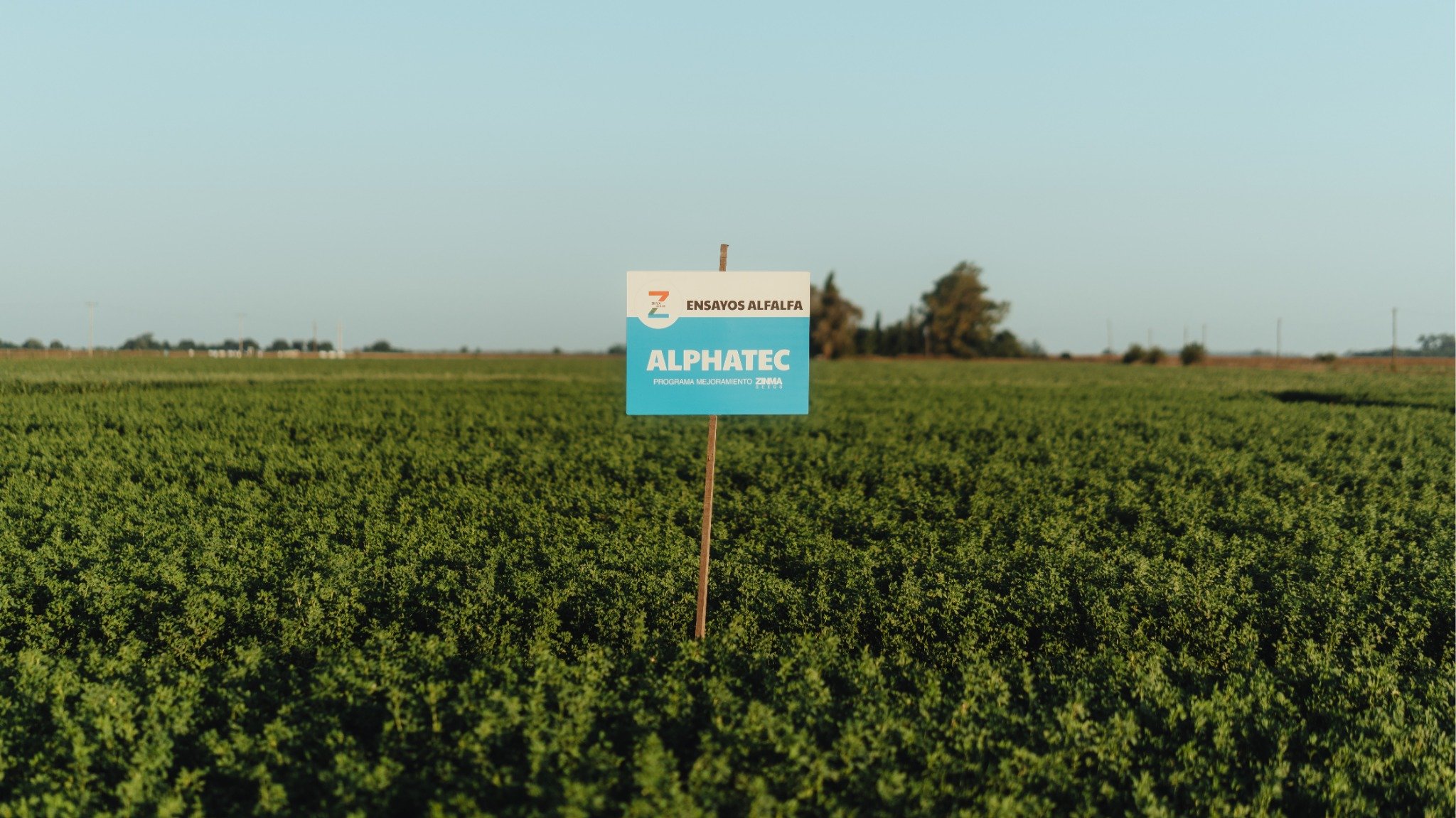 Un breeder al frente: ZINMA presenta sus avances en gen&eacute;tica y la financiaci&oacute;n para productores