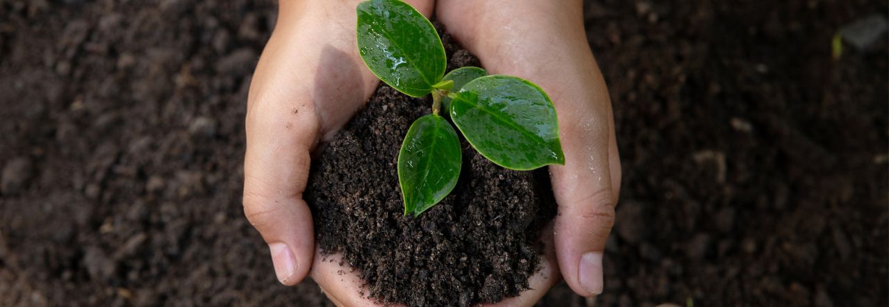 Trabajan en una agricultura cada vez más innovadora, eficiente y respetuosa del suelo que nos sostiene