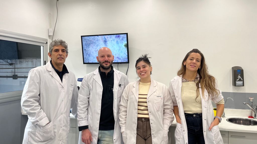 Biol&oacute;gicos con sello propio: Koppert lanzar&aacute; un nuevo fijador de nitr&oacute;geno desarrollado con una cepa exclusiva
