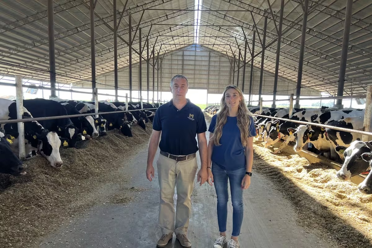Cuando las vacas se orde&ntilde;an solas: el avance de los tambos robotizados y los nuevos desaf&iacute;os de manejo